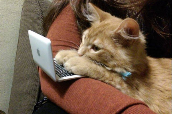 Design conferences in 2022